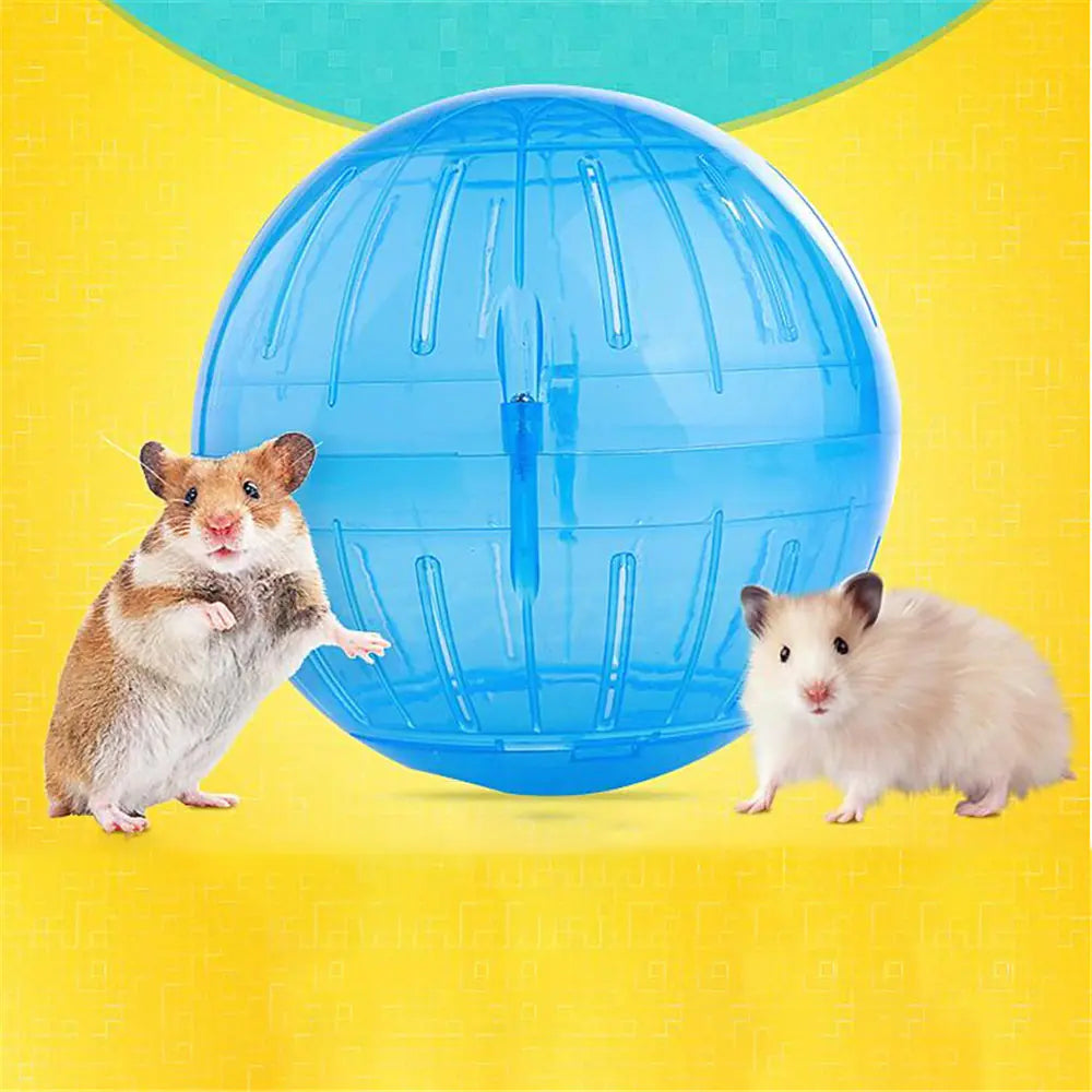 Hamster Ball Exercise Accessory with Transparent Wheel