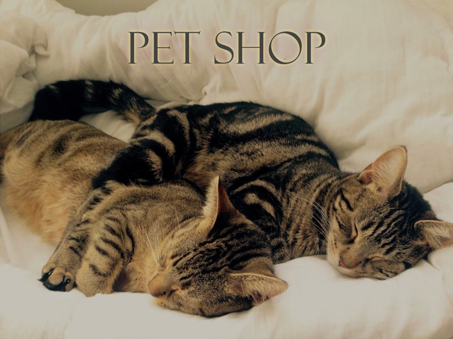 Pet Shop